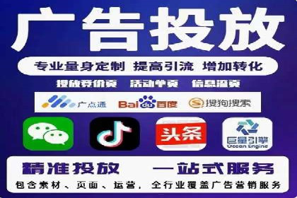 SEM搜索引擎优化案例：如何提升网站流量和转化率